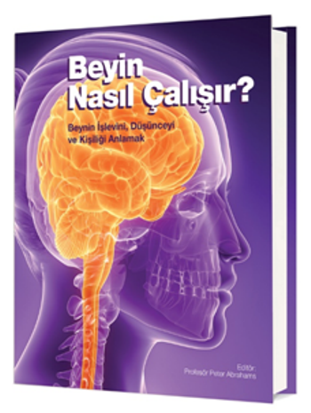 Beyin Nasıl Çalışır?