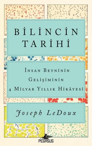 Bilincin Tarihi - İnsan Beyninin Gelişiminin 4 Milyar Yıllık Hikayesi