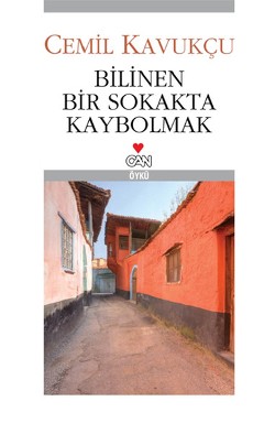 Bilinen Bir Sokakta Kaybolmak