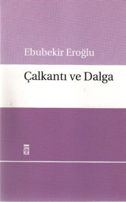 Çalkantı ve Dalga