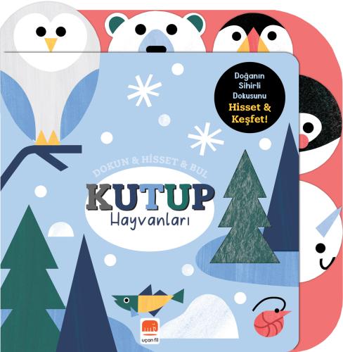 Dokun & Hisset & Bul Kutup Hayvanları (Boardbook)