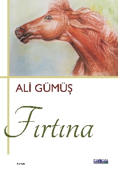 Fırtına