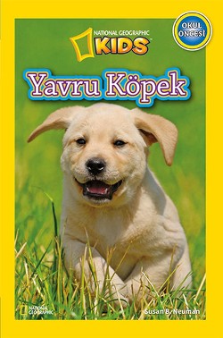 Yavru Köpek